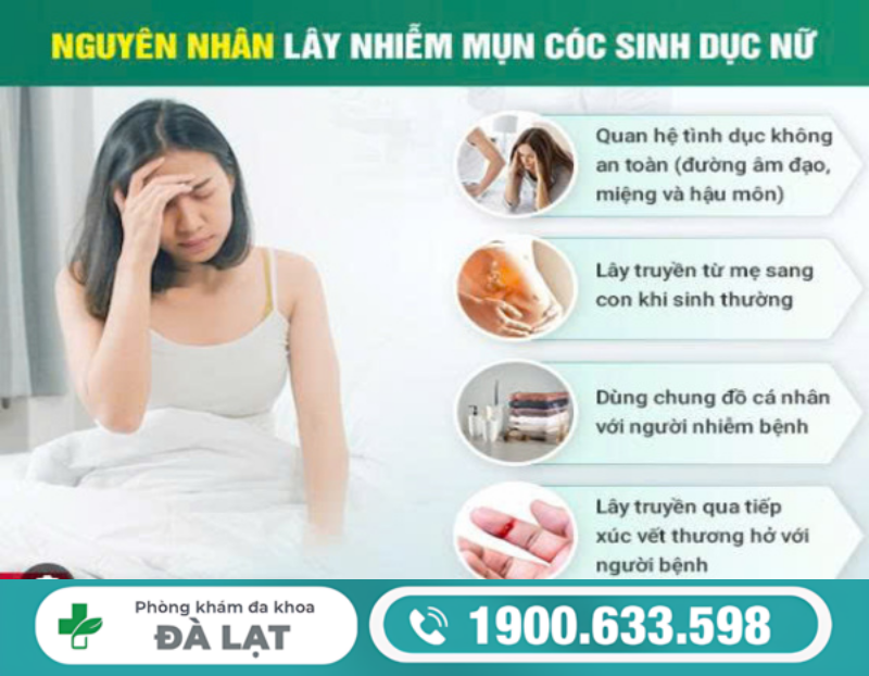 Hình ảnh minh họa
